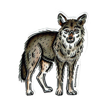 Load image into Gallery viewer, American traditional tattoo flash Coyote watercolor sticker.