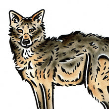 Load image into Gallery viewer, American traditional tattoo flash wildlife illustration Golden Jackal watercolor painting.
