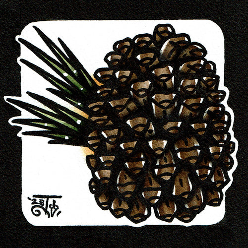 American traditional tattoo flash Ponderosa Pinecone ink and watercolor painting.