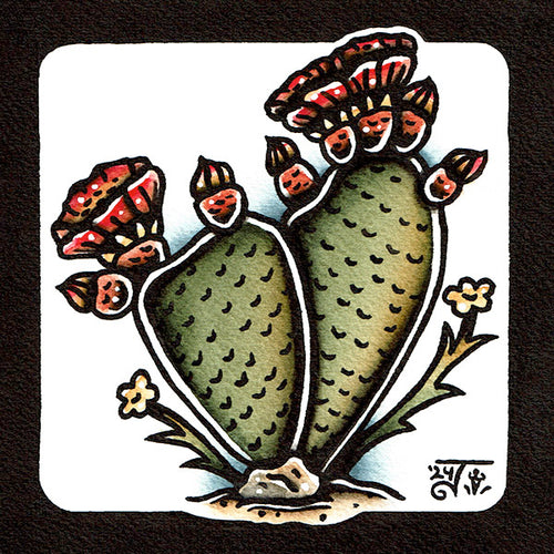 American traditional tattoo flash illustration Prickly Pear desert cactus watercolor painting.