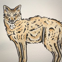 Load and play video in Gallery viewer, American traditional tattoo flash wildlife illustration Golden Jackal watercolor painting.
