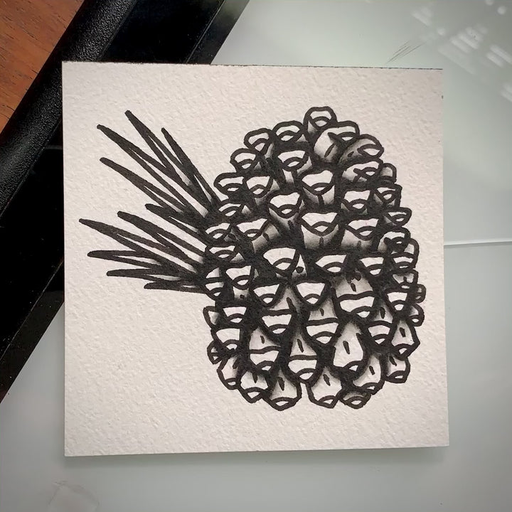 American traditional tattoo flash Ponderosa Pinecone ink and watercolor painting.