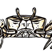 Load image into Gallery viewer, American traditional tattoo flash wildlife illustration Atlantic Ghost Crab ink and watercolor painting.
