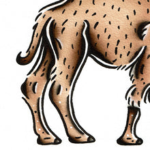 Load image into Gallery viewer, American traditional tattoo flash wildlife illustration Bactrian Camel ink and watercolor painting.
