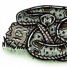 Load image into Gallery viewer, American traditional tattoo flash wildlife illustration Banded Rock Rattlesnake ink and watercolor painting. 
