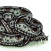 Load image into Gallery viewer, American traditional tattoo flash wildlife illustration Banded Rock Rattlesnake ink and watercolor painting. 
