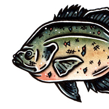 Load image into Gallery viewer, American traditional tattoo flash wildlife illustration Bluegill Sunfish painting.
