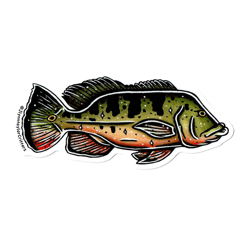 American traditional tattoo flash Peacock Bass watercolor sticker.