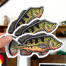 Load image into Gallery viewer, American traditional tattoo flash Peacock Bass watercolor sticker.
