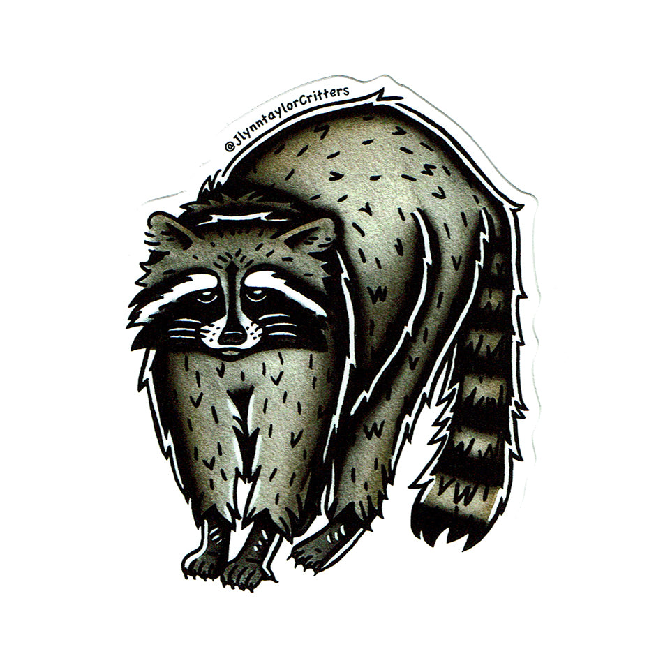 American traditional tattoo flash Raccoon watercolor sticker.