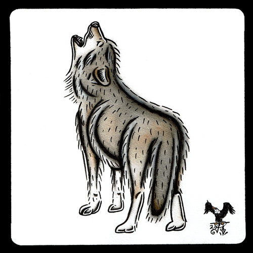 American traditional tattoo flash wildlife illustration Gray Wolf ink and watercolor illustration.