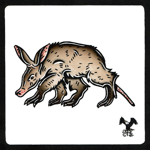 American traditional tattoo flash wildlife illustration Aardvark ink and watercolor painting.