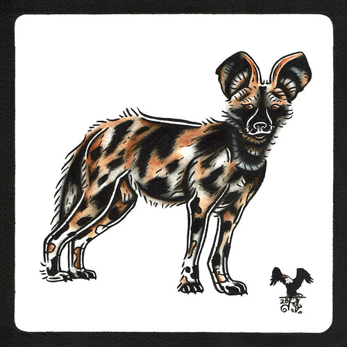 American traditional tattoo flash wildlife illustration African Wild dog ink and watercolor painting.