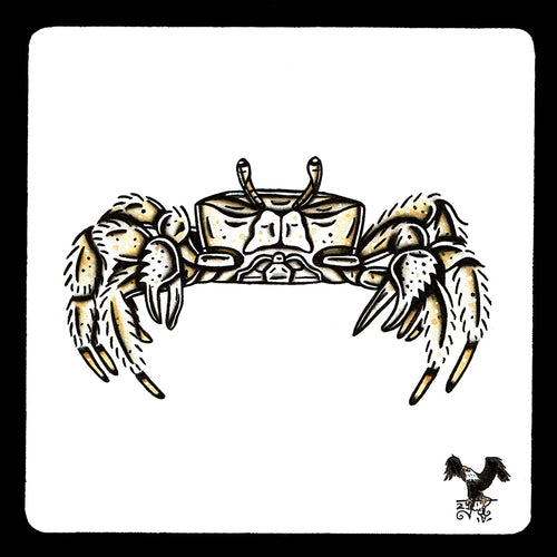 American traditional tattoo flash wildlife illustration Atlantic Ghost Crab ink and watercolor painting.