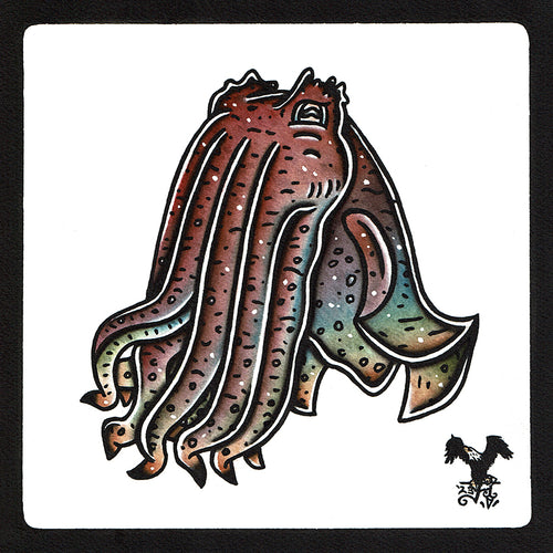 American traditional tattoo flash wildlife illustration Australian Giant Cuttlefish watercolor painting.