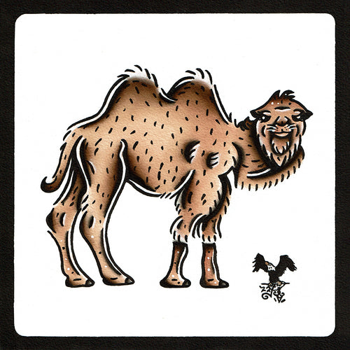 American traditional tattoo flash wildlife illustration Bactrian Camel ink and watercolor painting.