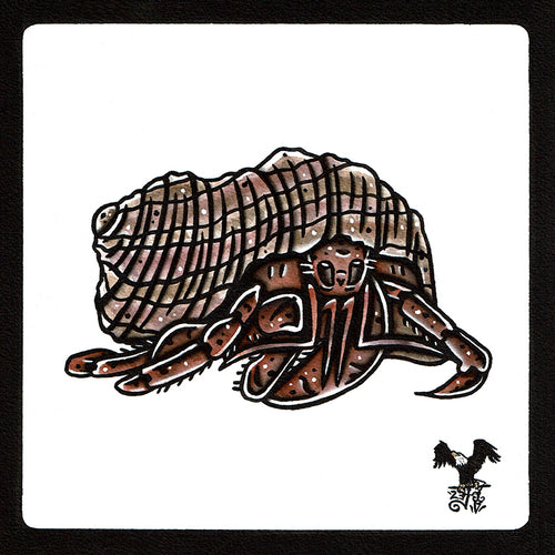 American traditional tattoo flash wildlife illustration Caribbean Hermit Crab ink and watercolor painting.