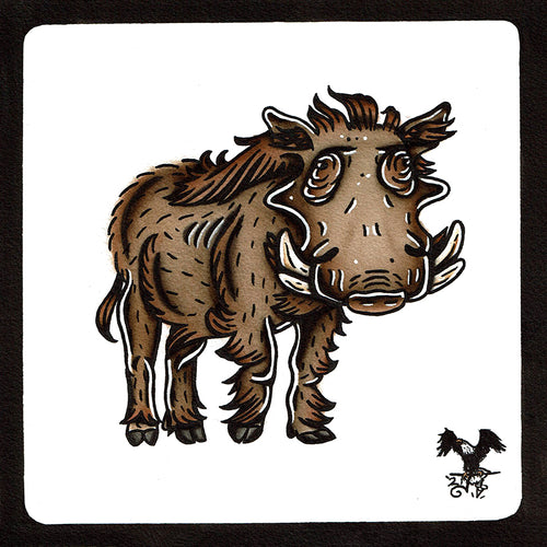 American traditional tattoo flash wildlife illustration Common Warthog ink and watercolor painting.