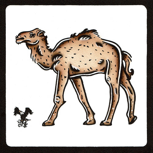 American traditional tattoo flash wildlife illustration Dromedary Camel ink and watercolor painting.