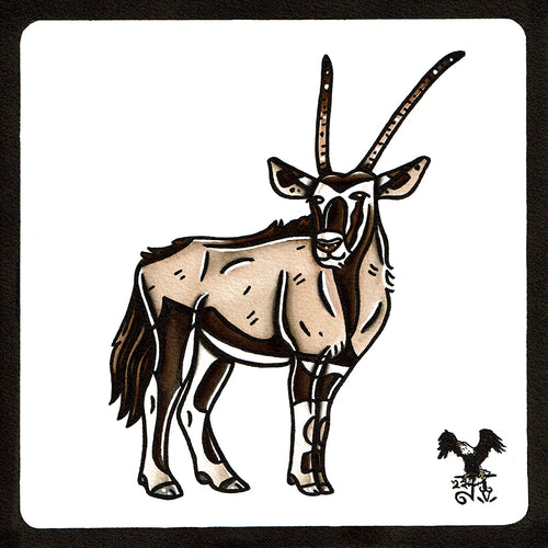 American traditional tattoo flash wildlife illustration Gemsbok Oryx ink and watercolor painting.