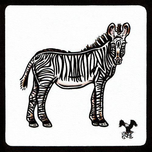 American traditional tattoo flash wildlife illustration Grevy's Zebra ink and watercolor painting.