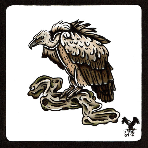 American traditional tattoo flash wildlife illustration Griffon Vulture ink and watercolor painting.