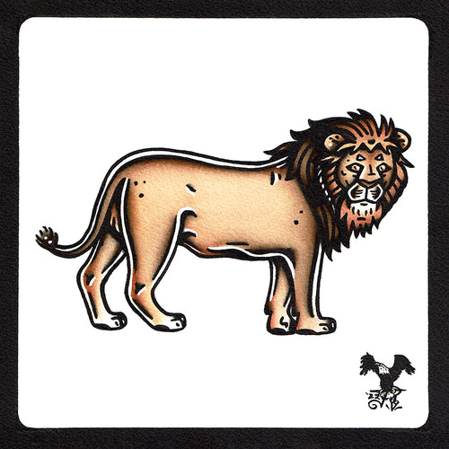 American traditional tattoo flash wildlife illustration African Lion ink and watercolor painting.