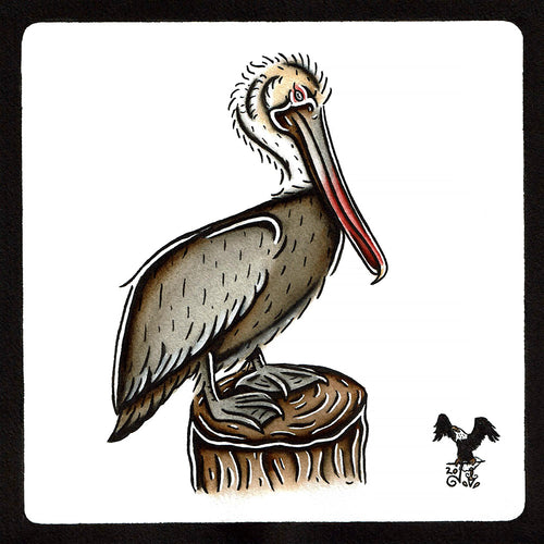 American traditional tattoo flash wildlife illustration Brown Pelican ink and watercolor painting.