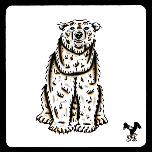 American traditional tattoo flash wildlife illustration Polar Bear ink and watercolor painting.
