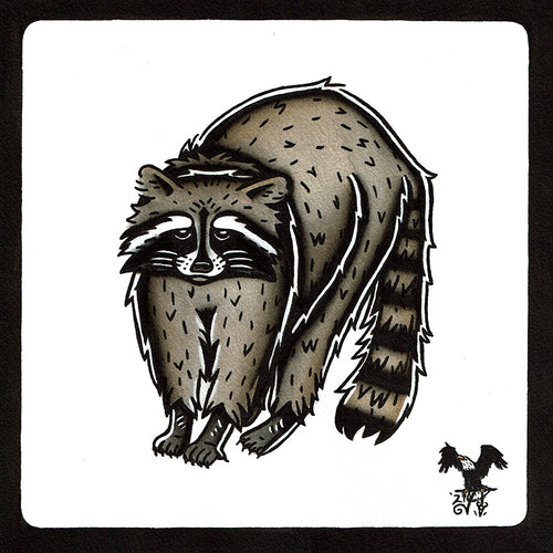 American traditional tattoo flash wildlife illustration Raccoon ink and watercolor painting.