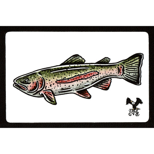 American traditional tattoo flash wildlife illustration Rainbow Trout watercolor painting.