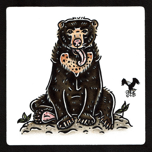 American traditional tattoo flash wildlife illustration Sun Bear ink and watercolor painting.