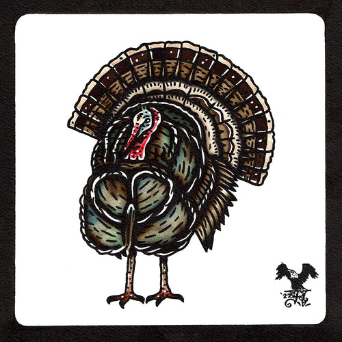 American traditional tattoo flash wildlife illustration Wild Turkey ink and watercolor painting.