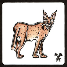 Load image into Gallery viewer, American traditional tattoo flash wildlife illustration Caracal cat ink and watercolor painting.
