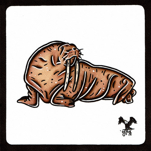 American traditional tattoo flash wildlife illustration Pacific Walrus ink and watercolor painting.