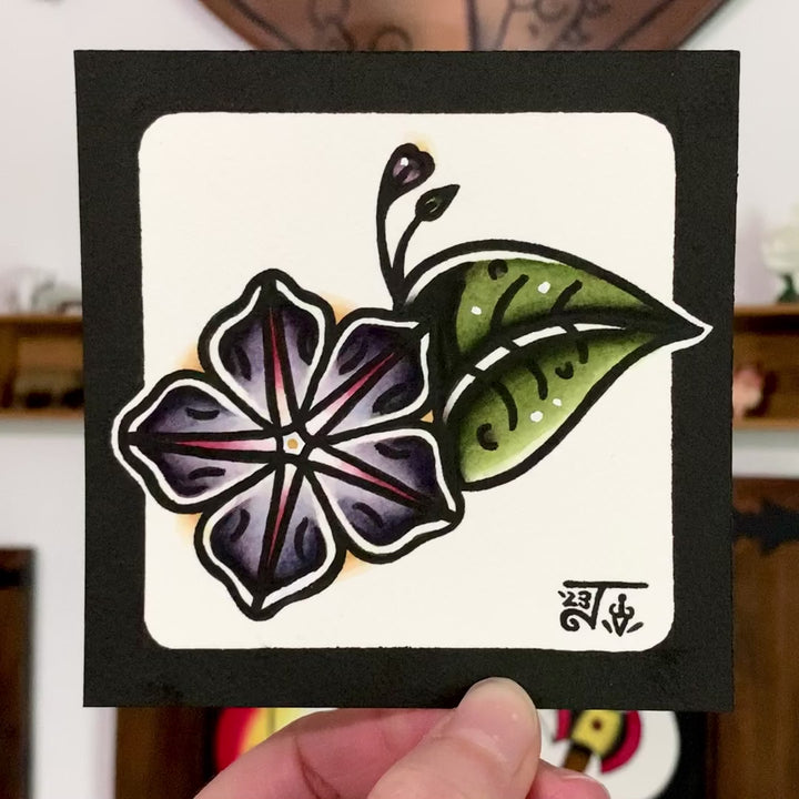 Ameerican traditional tattoo flash Morning Glory Flower watercolor painting.